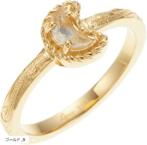 Piena sGiT[WJXeX316L nCAWG[ [ NZg vA XN[ O fB[X 9(S[h)