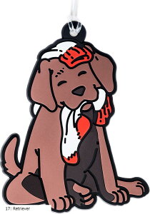 obO^O sɕ֗ X[cP[X וp l[^O XyClfUCi[̂ȗspi g[o[ Retriever (17: Retriever)