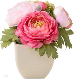 sIj[AW|bg sNMtg v[g  u^ ̂܂܏ CeA Vv  wj Əj zj V(sN, 14cmx16cmx@s14cm