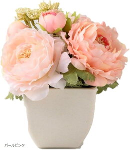 sIj[AW|bg p[sN Mtg v[g  u^ ̂܂܏ CeA Vv  wj Əj zj (p[sN, 14cmx16cmx@