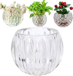 ی^ KX ԕr KXԕr  Ԋ t[x[X KXx[X r AW CeA ͔|  ؍ k ȉ~ GvX MTCY(GvXiȉ~j, MTCY)