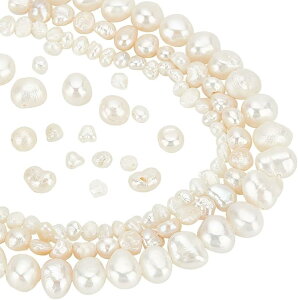 p[ Wp[ sKȃp[r[Y 110 3TCY zCg p[p[c uXbg lbNX CO sAX nhCh f L ޗ 2.5`8mm ()