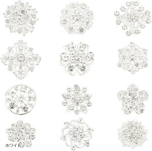 12 u[` CXg[  fB[X ԗ RT[W  {^ g obW ܎O ̓ v[g Ǝ w   F (zCg)