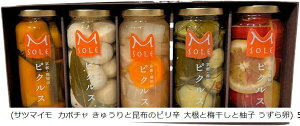 京都・福知山 ピクルス 160ml 国産 漬物 酢漬け 保存食品 サツマイモ カボチャ きゅうりと昆布のピリ辛 大根と梅干しと柚子 うずら卵5本セットB