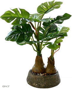 ϗtA tFCN O[ tFCNO[  Xe lHϗtA ~j   A (O[iCj, ~j)