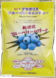 Zxv|Xz v|XLfB[ ̂ǈ n[uLfB[ mVK[  (n[uLfB[)