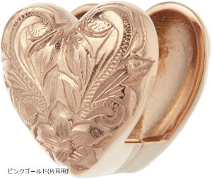 Piena sGi T[WJXeX316L Ўp 1 nCAWG[ n[g vA XN[ t[vsAX fB[X sNS[h(sNS[h(Ўp))