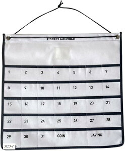 薬 カレンダーポケット ウォールポケット お薬カレンダー 1ヶ月 壁掛け収納 小物 吊り下げ ホワイト (ホワイト)