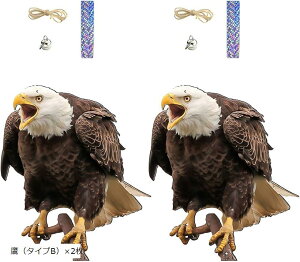  悯 ObY JX悯 悯  JX΍  x_ tNE    h }V ݂艺 (uE, i^CvBjx2)