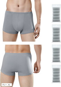 20jpĝĖ100{NT[pcsgїpV[ctBbglXjzeXpa@@ D(O[, XL)