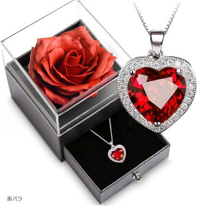 \[vt[ ΂   lbNX fB[X ͂Ȃ o hCt[ [Y{bNX bZ[WJ[ht a LO LO ̓ zCgf[ o^Cf