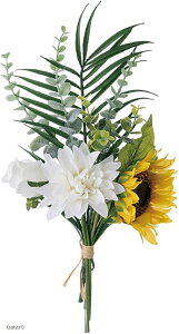 morytrade  ԑ WF tFCNt[ CeA u[P (Ђ܂, u[P)