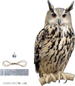  悯 ObY JX悯 悯  JX΍  x_ tNE    h }V ݂艺 (uE, tNEi^CvBjx1)