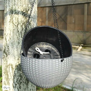 nMOv^[ ݂艺v^[ Aؔ nMOoXPbg (O[, TCY)