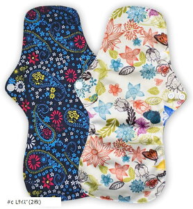 zivL p zCi[ ې􂢉\ JԂgp\ hz pivL  pi Xibvt #c LTCY 2 (#c LTCY(2))