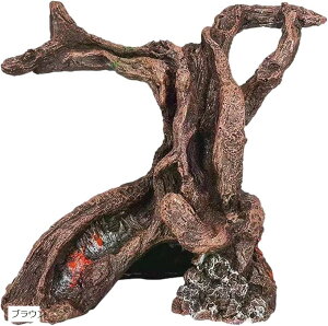 ঒ޗp  o eEp i ANAE ANAeE CE (uE)