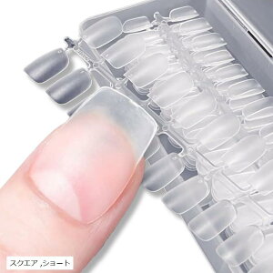 lC`bv  V[g NA TfBO RȃtBbg  Kp Ɩp 300Zbg (XNGA, V[g)