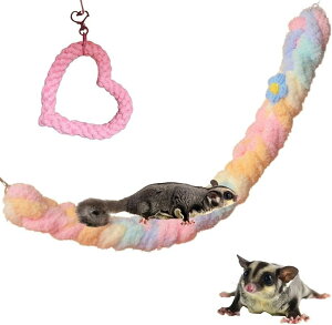 K tNK  ݂艺 P[W 2_Zbg (pXe)