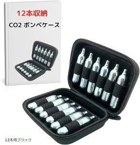 CO2 {x P[X KXK J[gbW Z~n[h ToQ[12g 8g [ [hoCN Ct[^[ ] C (ubN, 12{p)