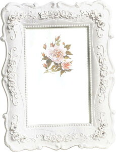 tHgt[ ʐ^ F AeB[N ʐ^  |XgJ[h TCY tHgX^h (zCg, M)