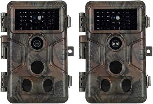 yyVLO1ʓ܁zBlazevideo gCJ 2 A323 1296PlZT[ hƃJ 쐶ĎJ ÎJ 5-20m 120°Be͈ 4800f 0.1sgK[ IP66hho