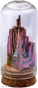 rX}XW{ W{ qԍ83  ~jz lH z p[Xg[   18gP[X (17gP[X, Small)