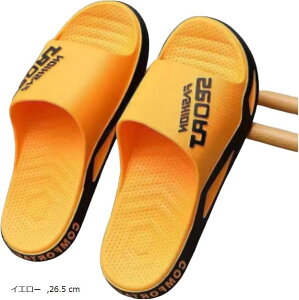 T_ Y X|[cT_ e͐x_ y r[`T_ EH[LO ʋC t@bVT_ 26.5 cm(CG[, 26.5 cm)