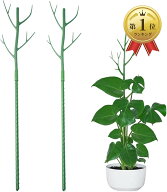 【楽天ランキング1位入賞】支柱 観葉植物 園芸 2本セット 添え木 支え イボ竹 観葉植物の支柱 モンステラ…