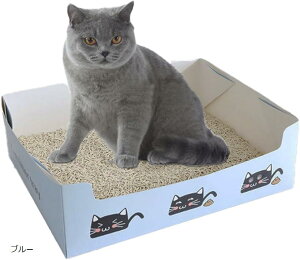 LgC ĝ 5Zbg _{[ h h  s ˂ g ܂肽 u[ (u[)