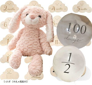 BeZbgt t@[XggC  n[to[Xf[ 100j }Cxr[Xg ʂ 蕨 Mtg oYj(i؎D+Dtj)