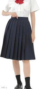 v[cXJ[g 55cm n w  G XN[jtH[ q e43 L lCr[ (lCr[, L)