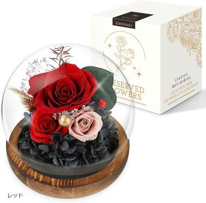 プリザーブドフラワー バラ 和風 ガラスドーム フラワーアレンジラッピング済み 人気 誕生日 母の日 結婚記念日 女性 女友達 贈り物 枯れない花 妻 プレゼント (レッド)
