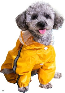 RXpGoodBȃCR[g   ^ ^  CR[g h J ~J p ONLY.. M (F, M)