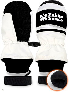 Xm[{[hO[u XL[O[u ~g Y fB[X jp ۉ h  h~Xgbvt(zCg, S)