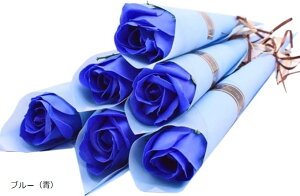 \[vt[ o  v[g Mtg   ސE v`Mtg New^Cv SW1858PF 6{ (u[ij)