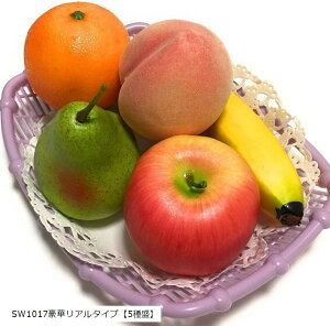 HiTv t[c t[ oXPbg  fBXvC d  SW1017؃A^Cv5퐷 (SW1017؃A^Cvu5퐷v)