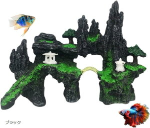 ANAE  IuWF  R  B  IuWF VF^[ I[ig(ubN, 24 x 17 x 8 cm)