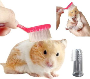 nX^[  ߋ Vѓ Vя AX`bN sN (sN)