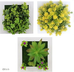 ϗtA tFCNO[ CeA   EH[ Ǌ| 3_Zbg(O[, 15cm)