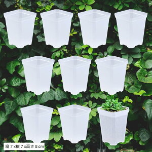  Xbg Aؔ ϗtA vX`bN c |bg 10Zbg(NA, c7x7x8cm)