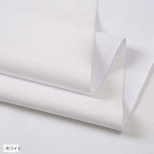 S13F XpfbNX n J[ 2mx145cm Lk e |E^ zCg (zCg)