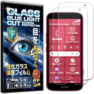 2Zbg2024Nf tB 炭炭X}[gtH F-53E KXtB u[CgJbg 93% یtB    { Ɏq dx10H 2.5DEhGbW z