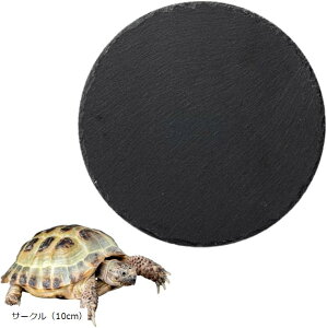 T {[h n  nv[g ঒ NK J ۉ ێ T[N 10cm (ubN, T[Ni10cmj)