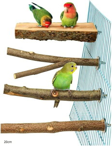 CR  AX`bN o[hgC ~܂ ~܂ ܂𖁂 20cm (20cm)