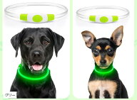 愛犬家の声から誕生した 犬の光る首輪 視認距離500mで夜間も安心 猫 ライト 散歩USB 充電式 (グリーン)