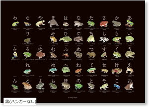 JĜ ^̂Ђ炪ȕ\ 50\ A3TCY 肠 } }OlbgnK[Ȃ  ~RqLKG CGAKG \o[WlRKG JGm JG