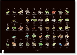 JĜ ^̂Ђ炪ȕ\ A3TCY 50\ 肠 }OlbgnK[t }  ~RqLKG CGAKG \o[WlRKG JGm JG