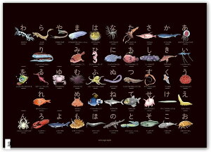 ��̐[�C���Ђ炪�ȕ\ �����������\ ������肠���������V���[�Y �[�C������������ �� �u���b�N A3 �Ǌ|���}�O�l�b�g�t (��, A3)