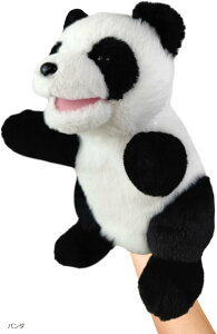 pybgl` nhpybg wl` bp  (p_)