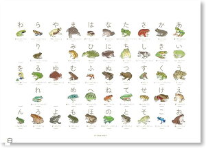 JĜ ^̂Ђ炪ȕ\ }OlbgnK[t A3TCY 50\ 肠 }  ~RqLKG CGAKG \o[WlRKG JGm JG